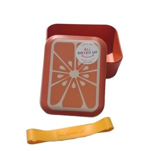 Brand new lunch Bento lunch box new hard plastic